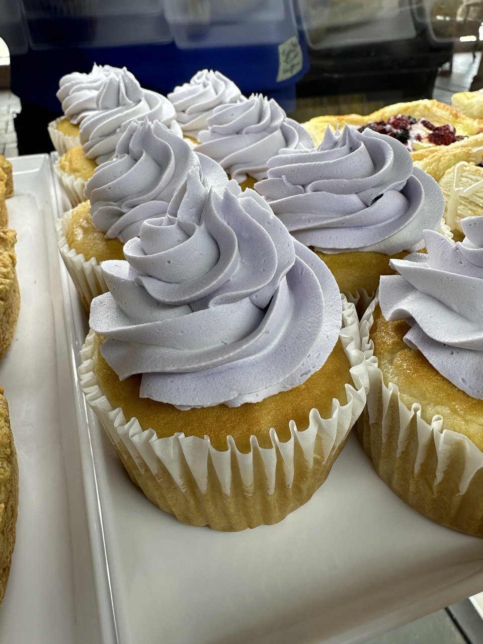 photo_2026-03-11 15.52.28